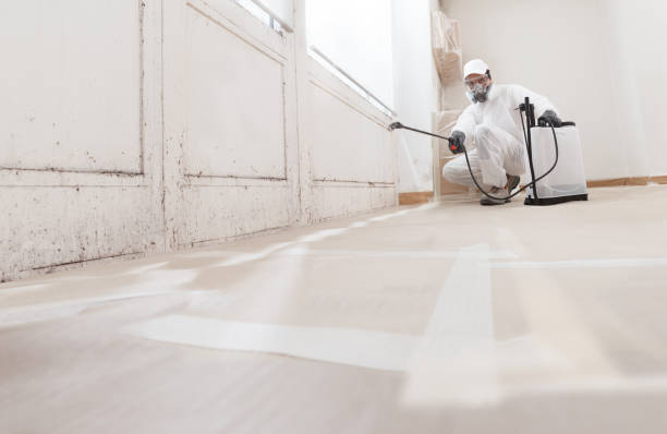 24/7 Emergency Mold Remediation experts in South Gate Ridge, FL