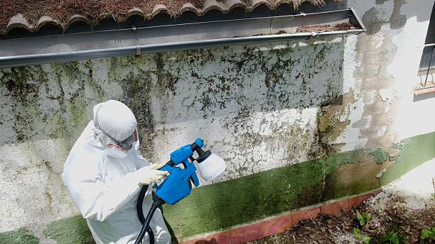 Top rated local Mold Remediation specialists in South Gate Ridge, FL